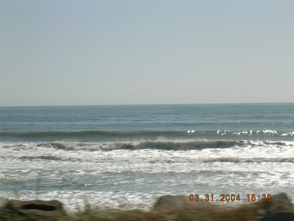 DSCN1247