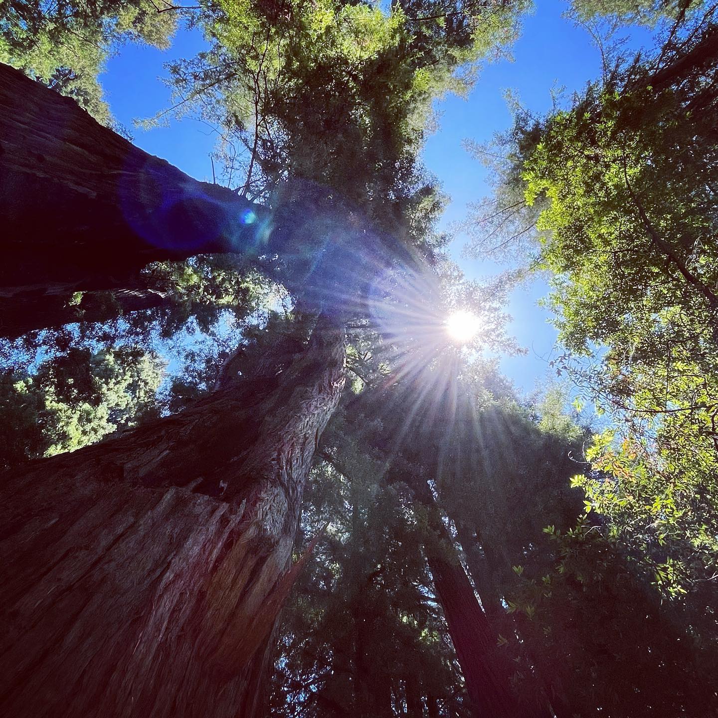 293321311 581566253536548 3200783211431045172 n